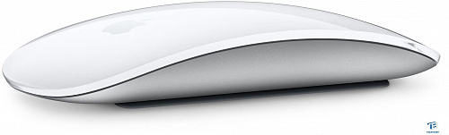 картинка Мышь Apple MK2E3