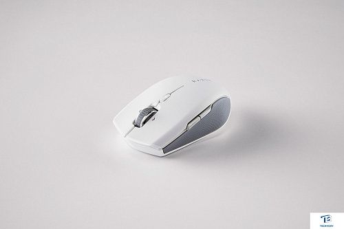 картинка Мышь Razer Pro Click Mini