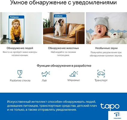 картинка IP-камера TP-Link Tapo C220