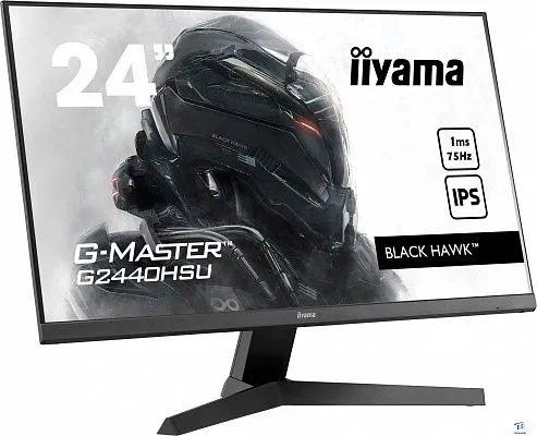 картинка Монитор Iiyama G2440HSU-B1