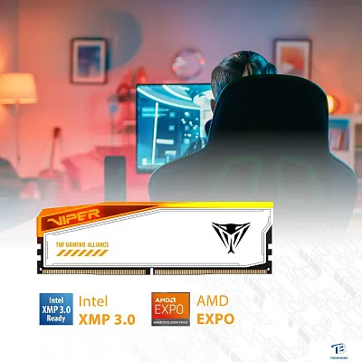 картинка ОЗУ Patriot PVER532G60C36KT
