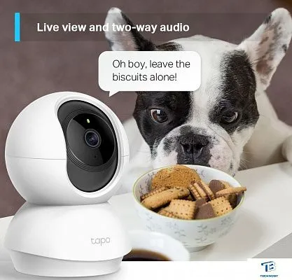 картинка IP-камера TP-Link Tapo C210