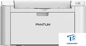картинка Принтер лазерный Pantum P2200, черно-белый