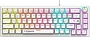 картинка Клавиатура Defender Rivalis GK-357 45358 Белый - превью 1