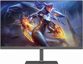 картинка Монитор Elsa EA251Q