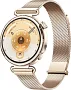 картинка Умные часы Huawei Watch GT 6 KSU-B19 Gold - превью 1
