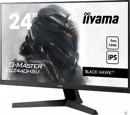 картинка Монитор Iiyama G2440HSU-B1