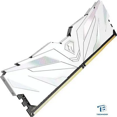 картинка ОЗУ Netac NTSWD4P32DP-32W