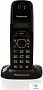 картинка Радиотелефон PANASONIC KX-TG1611RUW - превью 1