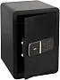 картинка Сейф Cactus CS-SF-T50 - превью 1