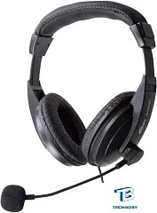 картинка Наушники Ritmix RH-524M
