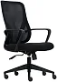 картинка Кресло Fox House Rogen SK3226mini Low Back Black - превью 1