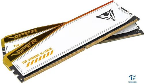 картинка ОЗУ Patriot PVER532G60C36KT