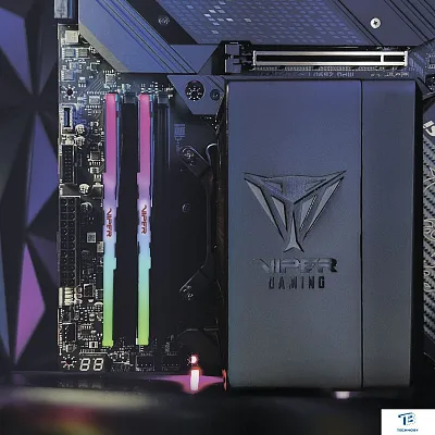 картинка ОЗУ Patriot PVVR532G560C36K
