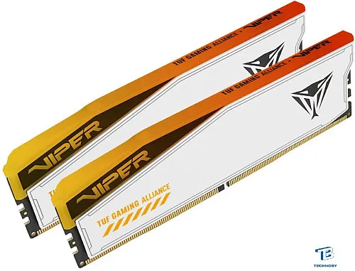 картинка ОЗУ Patriot PVER532G60C36KT