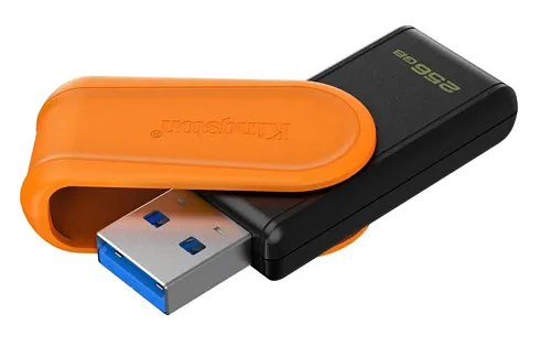картинка Флэш накопитель Kingston DTXS/256GB