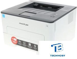 картинка Принтер лазерный Pantum P3010D, черно-белый