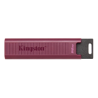 картинка Флэш накопитель Kingston DTMAXA/512GB