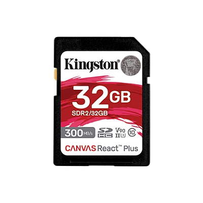 картинка Карта памяти Kingston SDR2/32GB