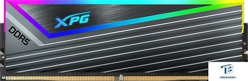 картинка ОЗУ A-Data AX5U6400C3216G-DCCARGY