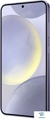 картинка Смартфон Samsung Galaxy S24 128GB SM-S921BZVDCAU