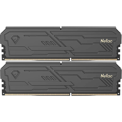 картинка ОЗУ Netac NTSHD4P32DP-32K