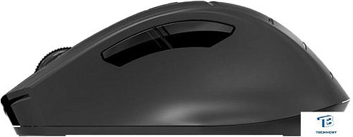 картинка Мышь A4Tech Fstyler FG30 Черный