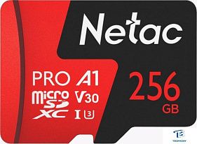 картинка Карта памяти Netac 256GB NT02P500PRO-256G-S