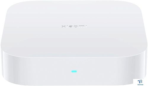 картинка Контроллер Xiaomi Hub 2 BHR6765GL