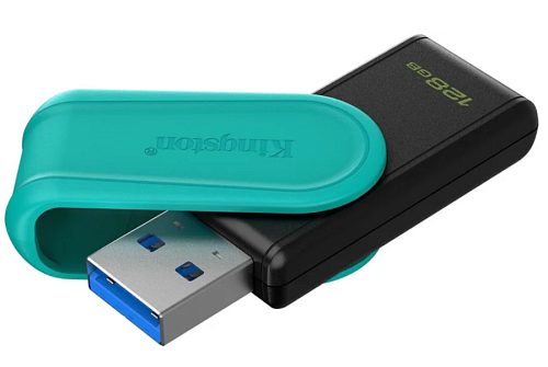 картинка Флэш накопитель Kingston DTXS/128GB