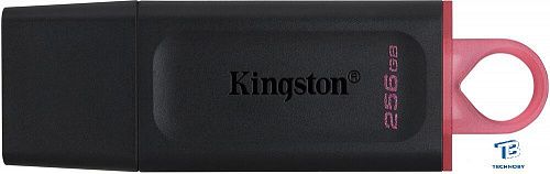 картинка Флэш накопитель Kingston DTX/256GB