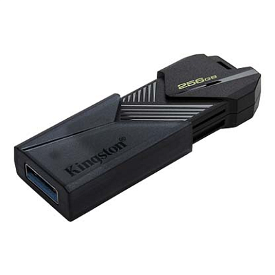 картинка Флэш накопитель Kingston DTXON/256GB