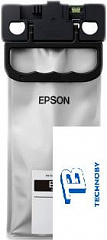 картинка Картридж Epson C13T01C100