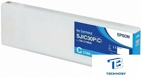 картинка Картридж Epson C33S020640