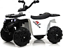 картинка Детский квадроцикл RiverToys L222LL белый - превью 1