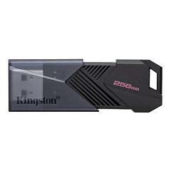 картинка Флэш накопитель Kingston DTXON/256GB