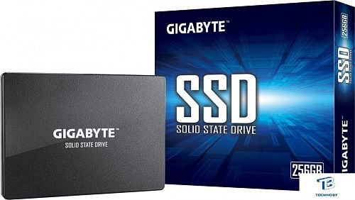 картинка Накопитель SSD Gigabyte 256GB GP-GSTFS31256GTND