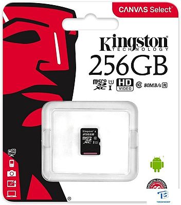 картинка Карта памяти Kingston SDCS/256GB