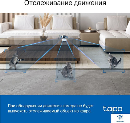 картинка IP-камера TP-Link Tapo C220