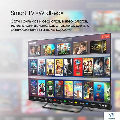 картинка Телевизор Topdevice TDTV24CS07H_BK