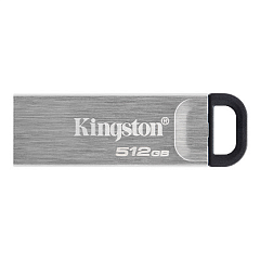 картинка Флэш накопитель Kingston DTKN/512GB
