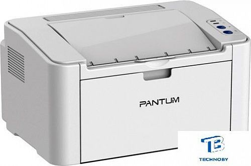 картинка Принтер лазерный Pantum P2200, черно-белый