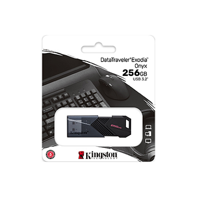 картинка Флэш накопитель Kingston DTXON/256GB