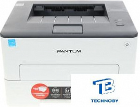 картинка Принтер лазерный Pantum P3010D, черно-белый