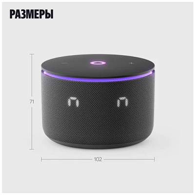 картинка Умная колонка Яндекс Станция Мини 3 Про черный YNDX-00059BLK