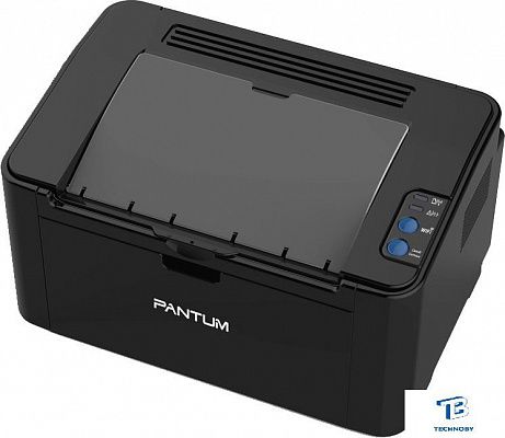 картинка Принтер лазерный Pantum P2207, черно-белый