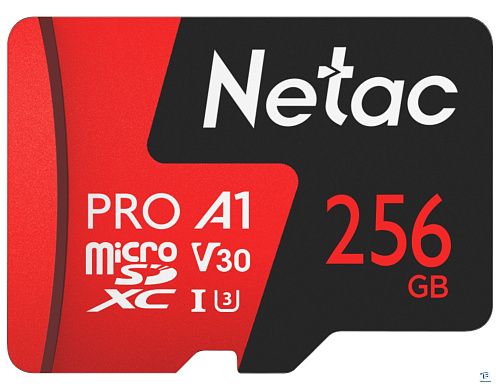 картинка Карта памяти Netac 256GB NT02P500PRO-256G-R