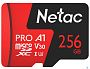 картинка Карта памяти Netac 256GB NT02P500PRO-256G-R - превью 1
