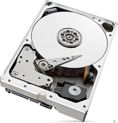 картинка Жесткий диск Seagate 10ТВ ST10000VE000