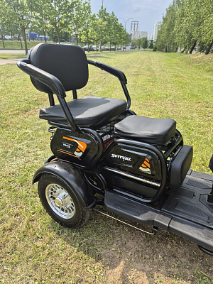 картинка Электротрицикл Terax ARKI NS003 Черный